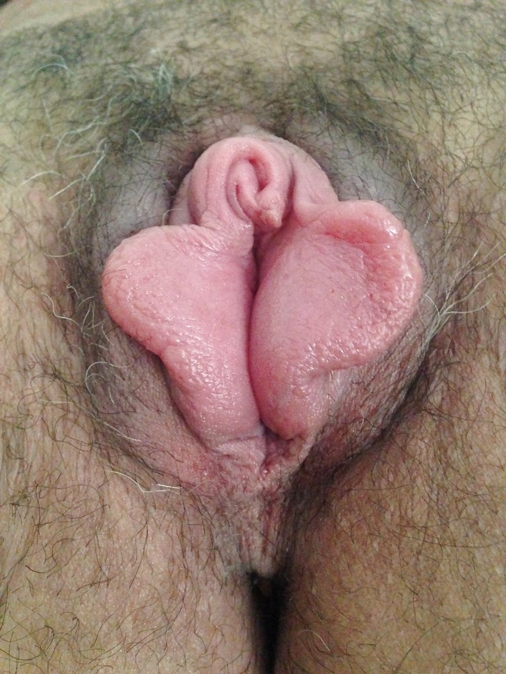 Половые губы розочка в порно 81 фото - секс фото 