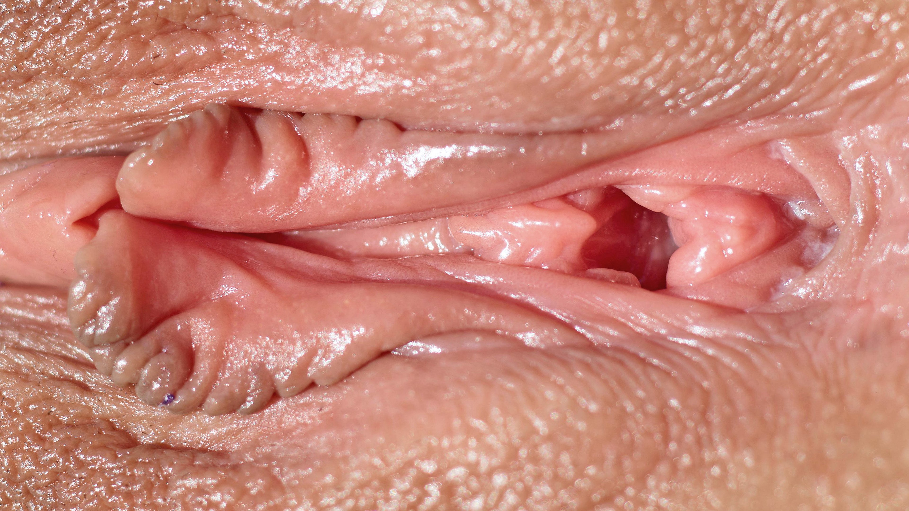 Половые губы розочка в порно 81 фото - секс фото 