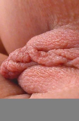 Пухленькие половые губки (61 фото)