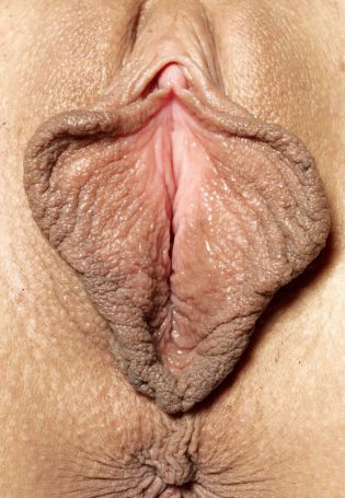 Закрытые половые губы (67 фото)
