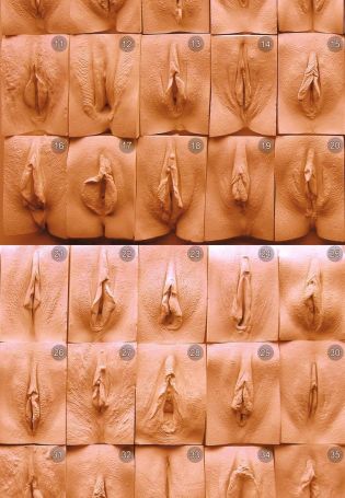 Типы женских гениталий (68 фото)