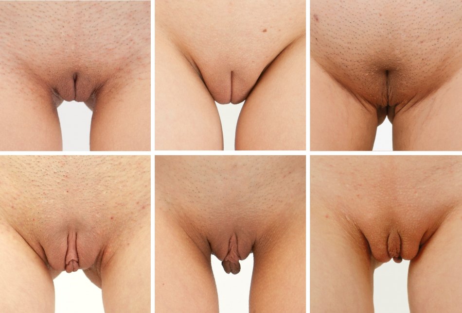 Формы писек (71 фото) - Порно фото голых девушек
