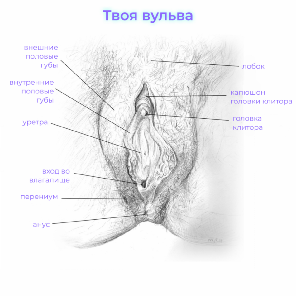 половые органы во время оргазма фото 25
