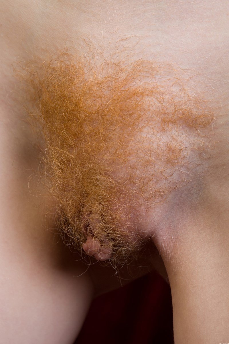 Рыжие волосы на лобке (85 фото)