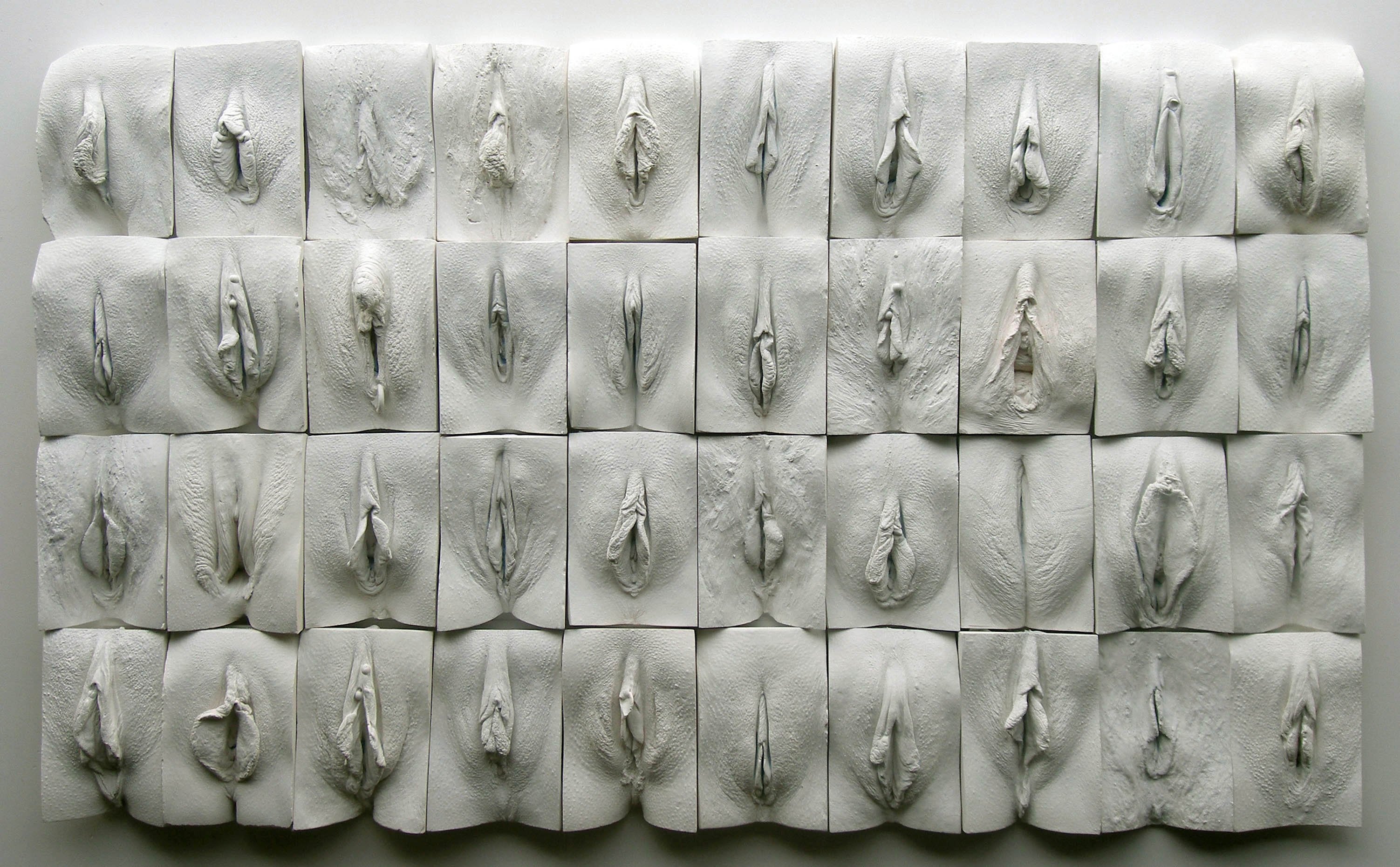 Разновидности женских кисок (86 фото) 