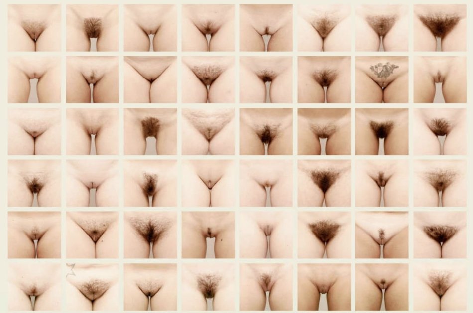 Какие бывают вагины у девушек (50 рисунков)