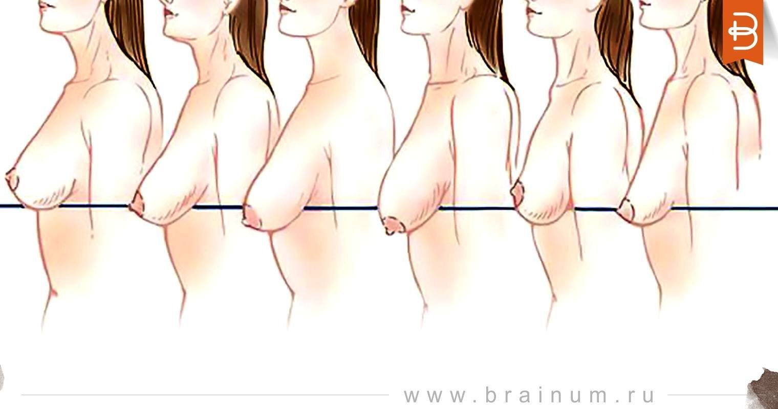 формы женской груди у женщин фото 114