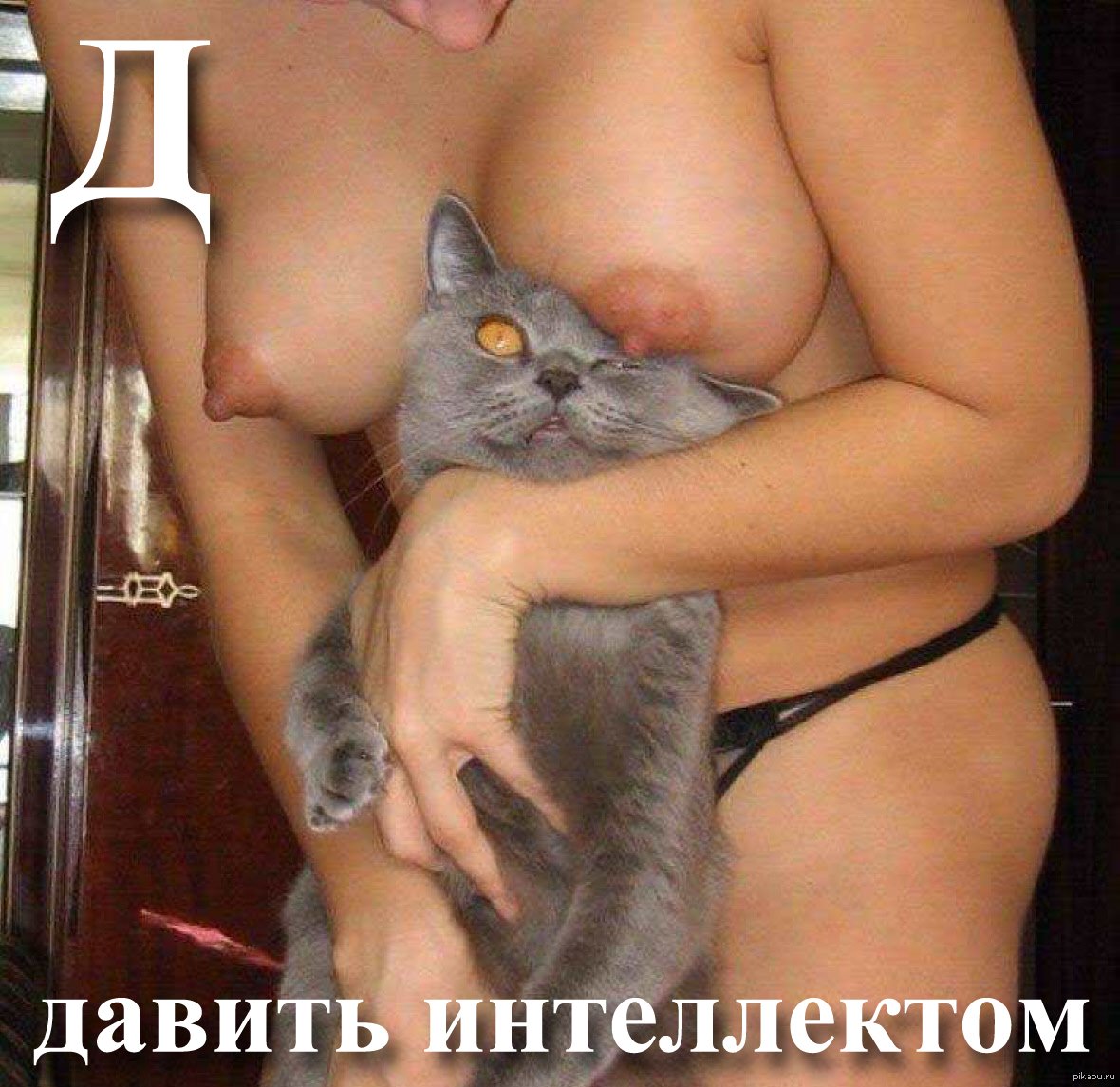 фото голая девушка кошка фото 95