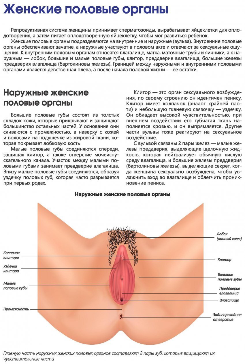 Воспалительные заболевания женских половых органов, симптомы - Клиника Здоровье г. Екатеринбург