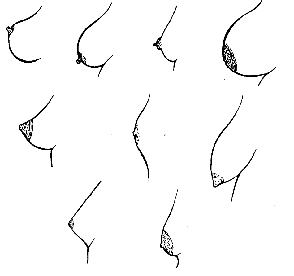 размеры груди и сосков у женщин фото 47