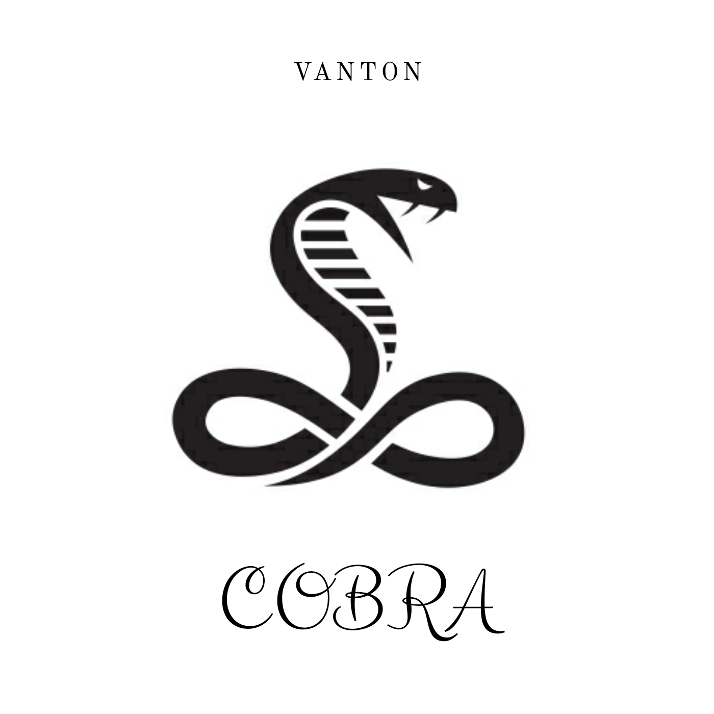Знак змейки. Знак змеи. Значок Кобра. Змей символ. Логотип змей.